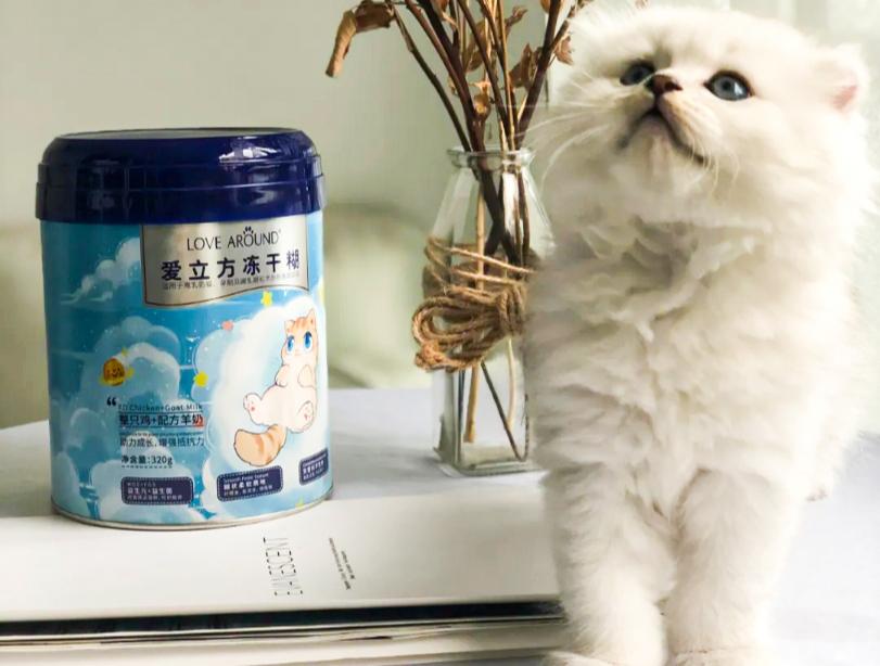 去亚宠展东西很便宜吗,亚宠展攻略快速扫货必备