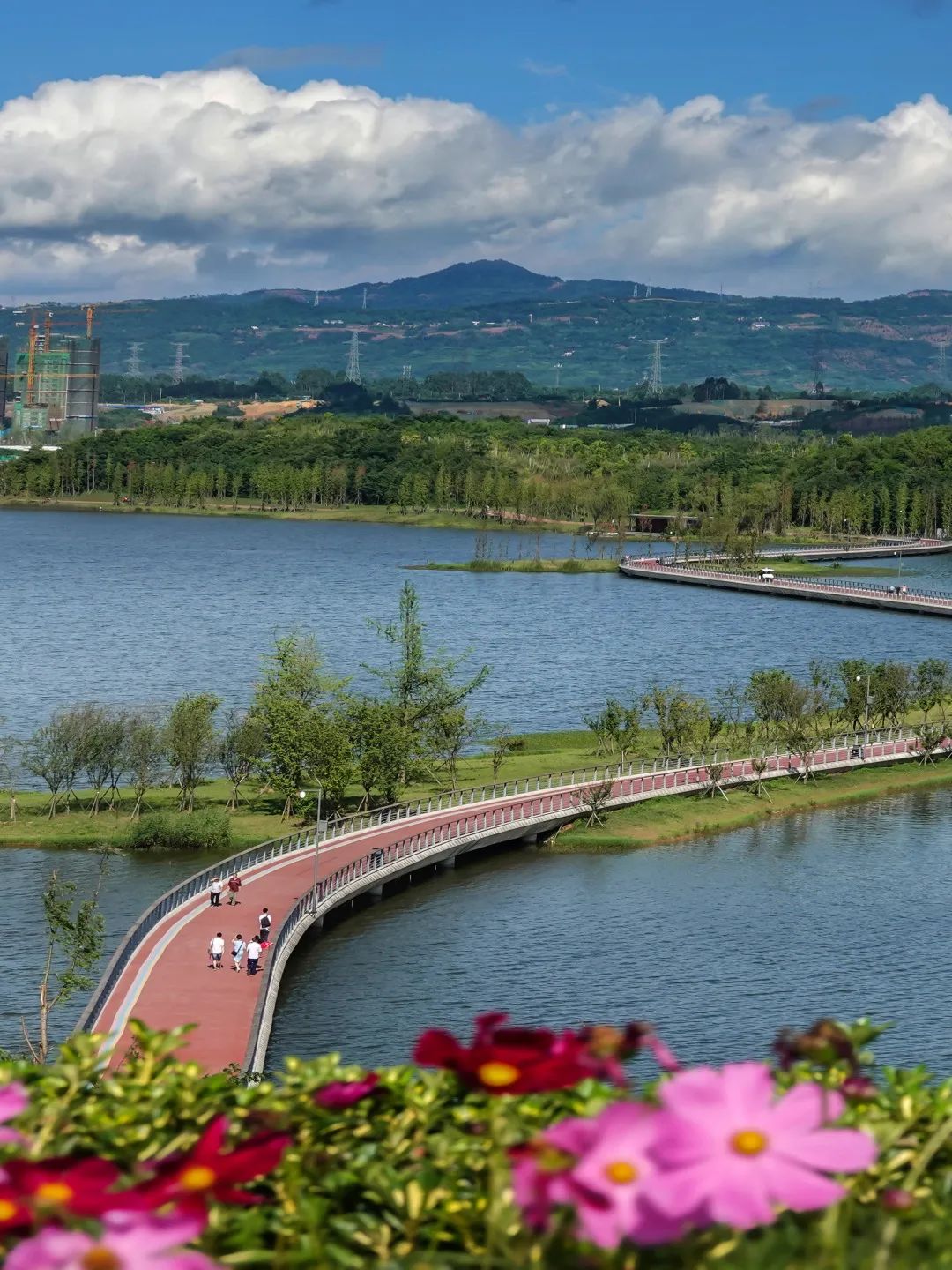 成都哪里的绿道最好,成都绿道最好的地方