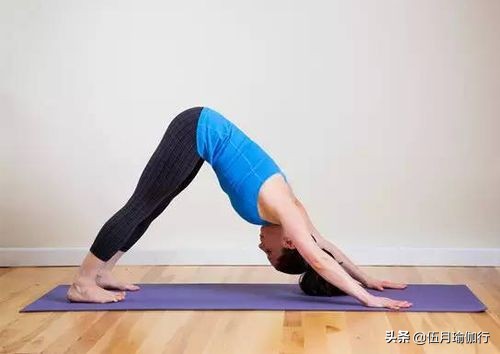 初学者横叉下不去怎么练,10个动作循序渐进做横叉