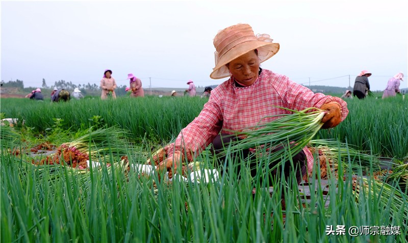 麻栗坡社区居民的贴心人,村民的贴心人原唱