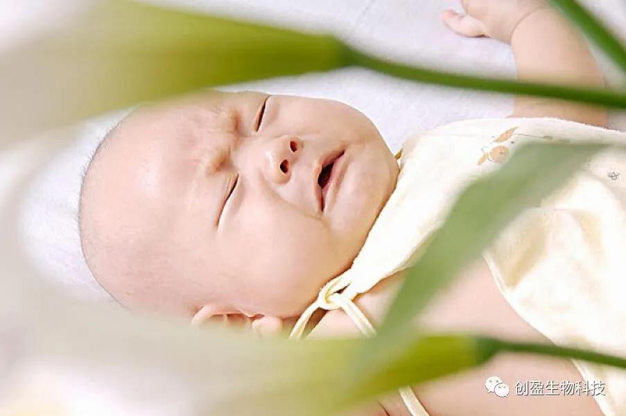 宝宝吃米粉有点疹子需要停吗,宝宝吃米粉身上出现红斑