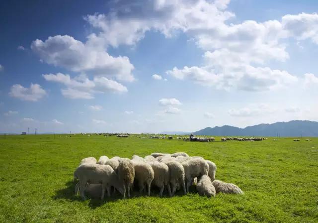 旅拍贵州！邂逅每一帧浪漫风景