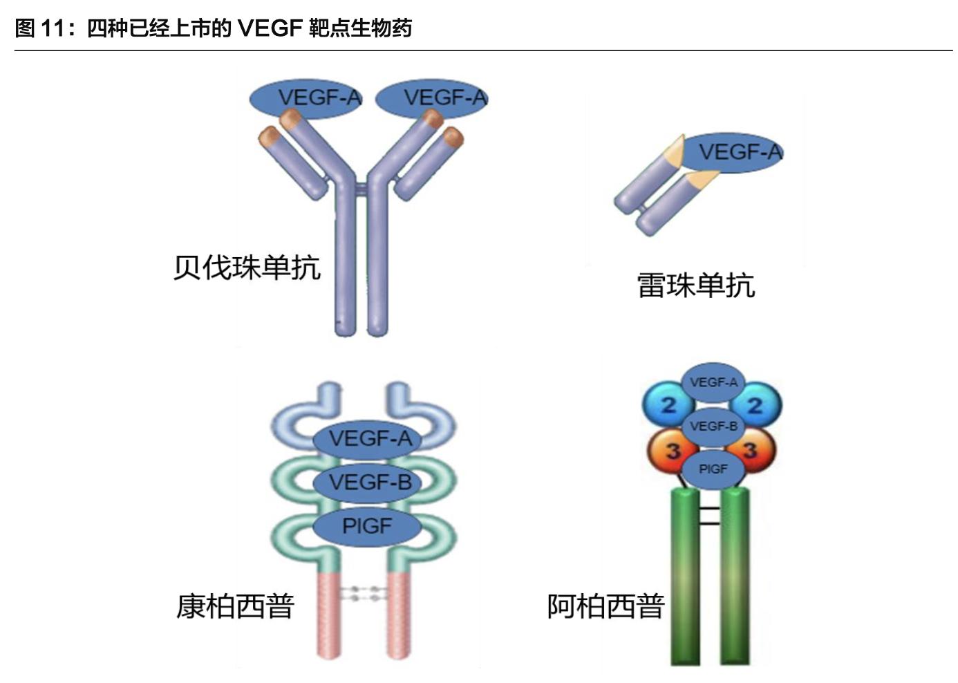 康弘药业除了康柏西普还有什么,康弘药业康柏西普代表待遇怎样