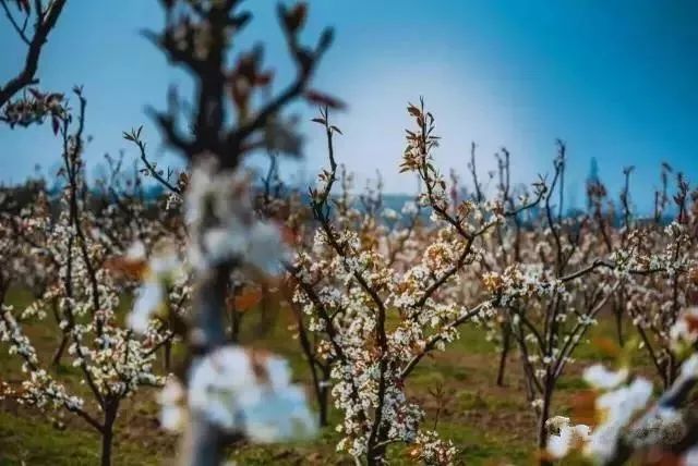 娆洪湝璧涢洩,娆洪洩璧涢湝