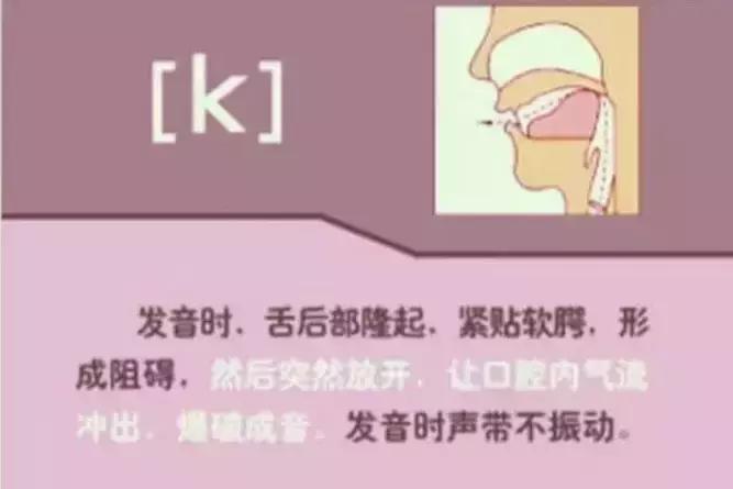 音标发音48个正确发音口型,小学英语音标发音48个口型