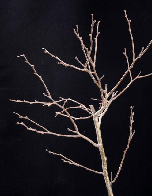 期货选势选时,期货交易时机