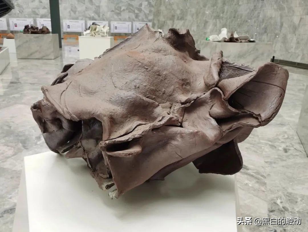 欧洲皇室专用瓷器,欧洲领主用骑兵换瓷器