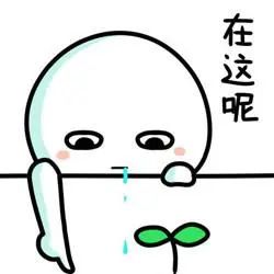 二十二年只做黑胡桃实木家具,140平全屋黑胡桃木实木家具多少钱