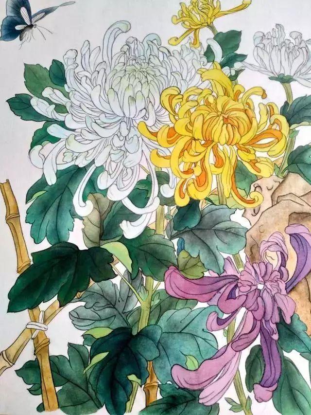 国画菊花教程工笔,工笔国画教程菊花蓝蝶