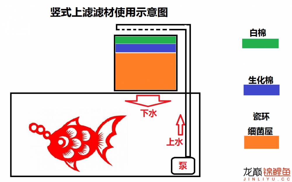 鱼池底部过滤大全详解,养鱼鱼池过滤怎么选择