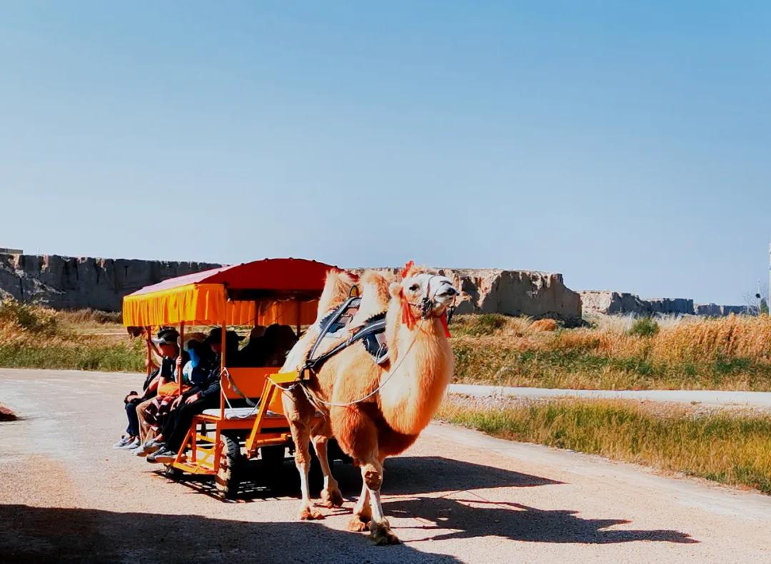 人生得意须摆摊什么意思,人生得意须摆摊