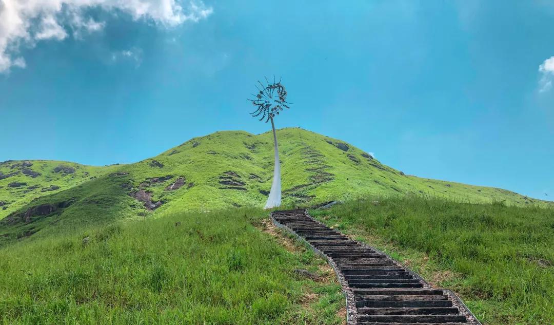 万亩草原航拍,万亩草原航拍视频