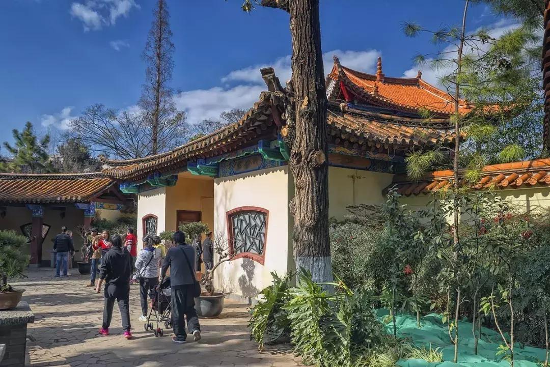 未来昆明发展潜力最大城市,昆明和青岛哪个城市发展潜力大