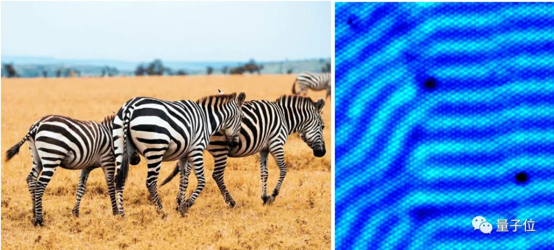 图灵计算机为什么不是第一,图灵测试有没有过时