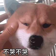 留学生回国海关行李怎么办,留学生行李被海关扣了怎么办