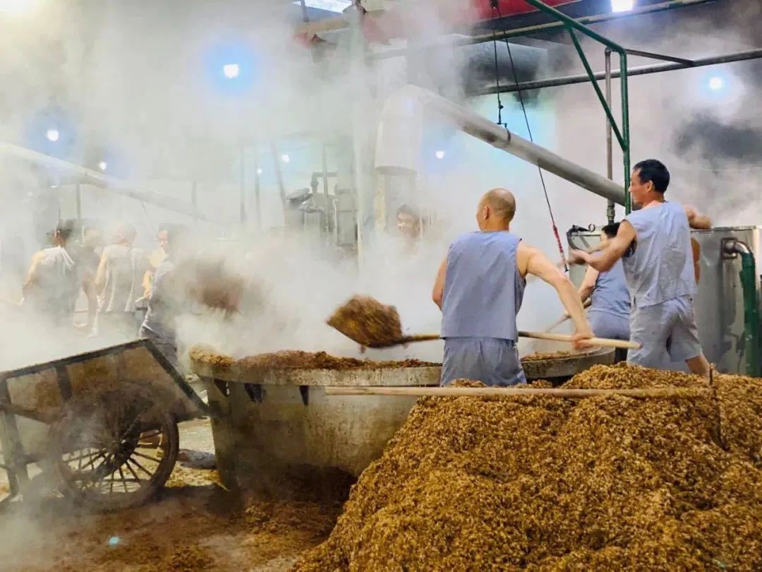 一杯美酒醉春风,一杯醇酿醉春风全文