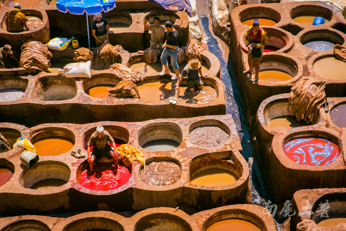 非洲这个城市这么臭，游人却每天排队参观