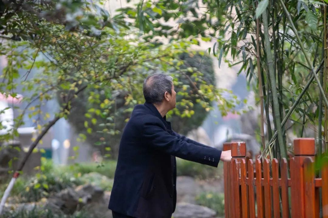 莲湖区晚上哪里可以散步,莲湖晨练