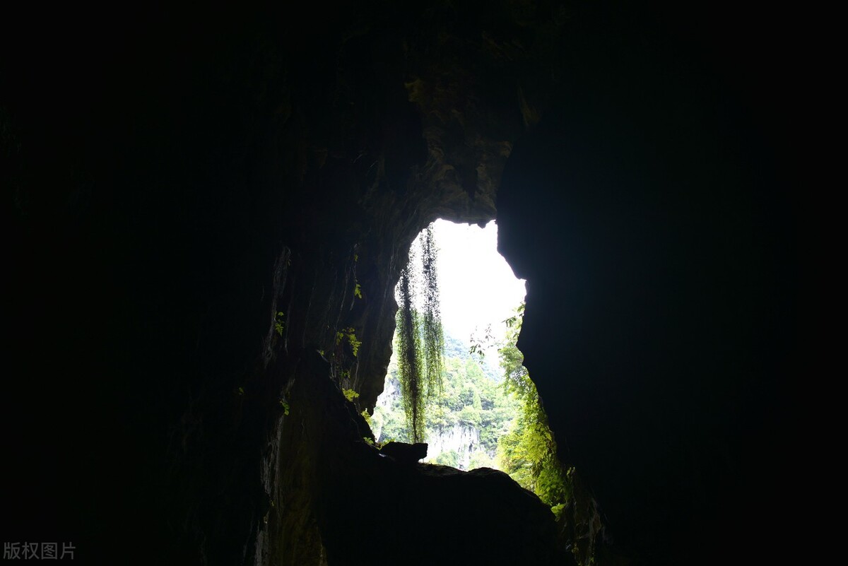 野人42.女野人想干什么？猎人陈山根被她劫持到悬崖上的山洞