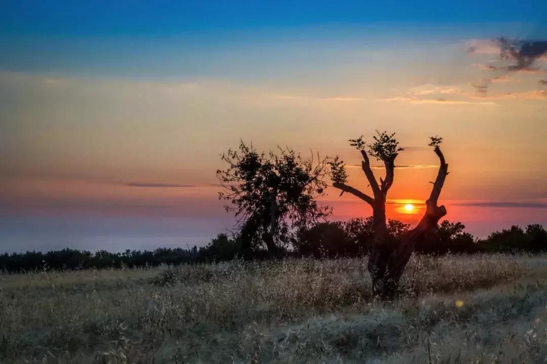 大航海之路爱神之岛塞浦路斯位置,塞浦路斯爱神之岛葡萄酒