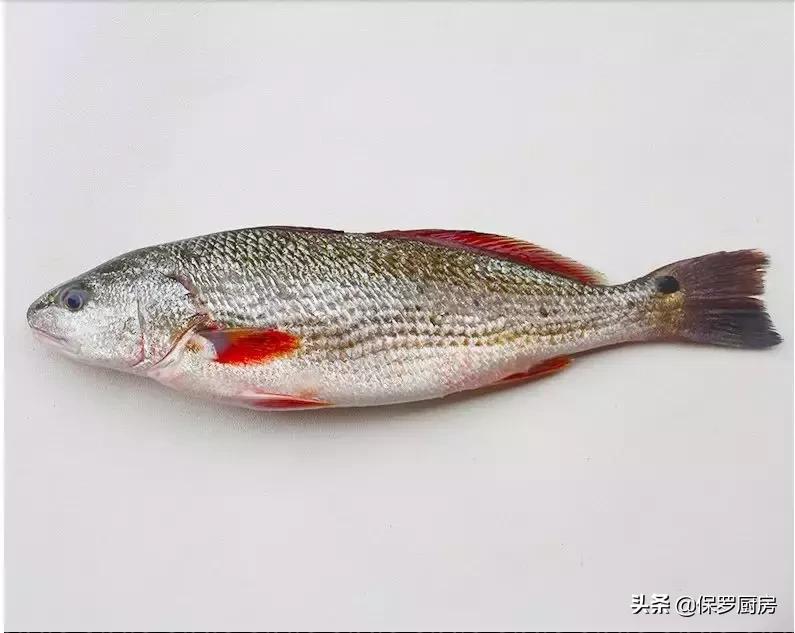 海鲜大荟萃,常见贝壳类海鲜