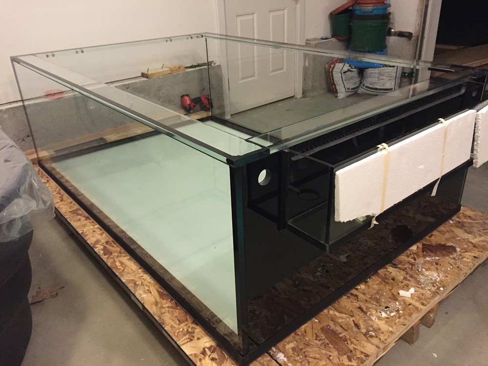 经典海水礁岩生态缸分享，180×120×60厘米三面观赏海缸