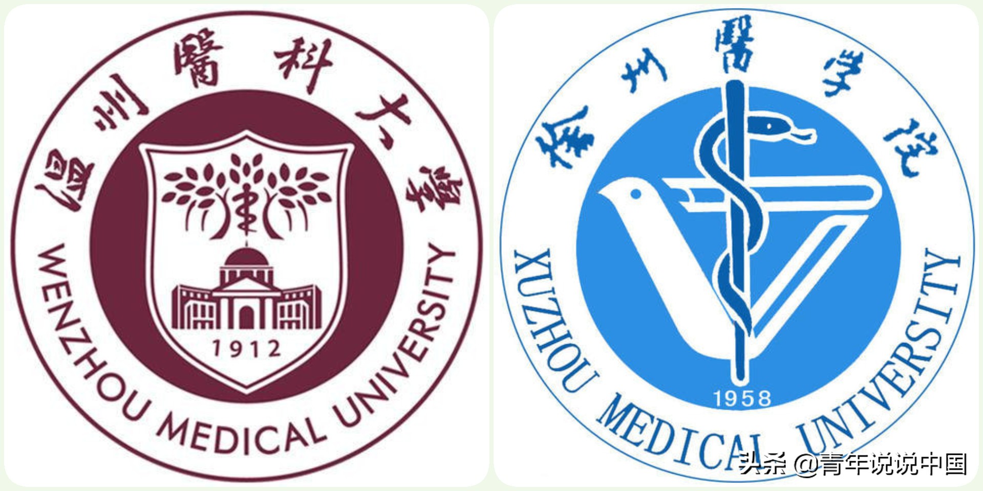 温医和安徽医科大学哪个好,徐医有什么专业