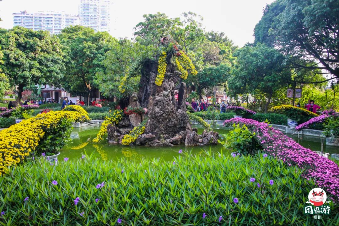 福州菊花展21年还有吗,福州西湖菊花展人山人海