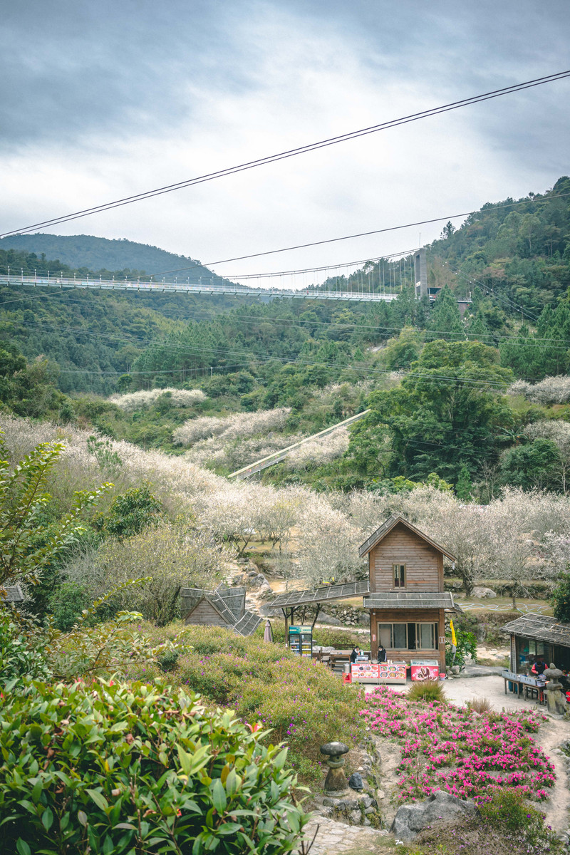 广东云浮好去处,广东云浮旅游攻略大全