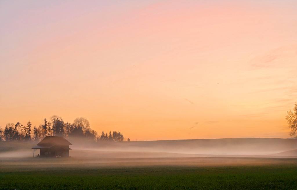 己巳丁卯乙亥庚辰什么格局,己巳丁卯乙亥庚辰是什么格局