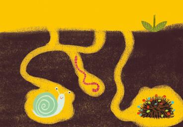 鐢荤敾鍎跨鍒涙剰鐢诲皬鍔ㄧ墿鍏斿瓙,鐢荤敾鏁欑▼7-12宀佸皬鍔ㄧ墿