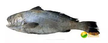 舟山海鲜攻略2天1晚住宿自由行,舟山最好的海鲜