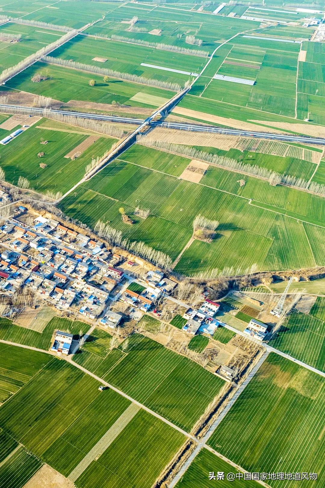 想不到！一粒小麦竟这样改变了中国