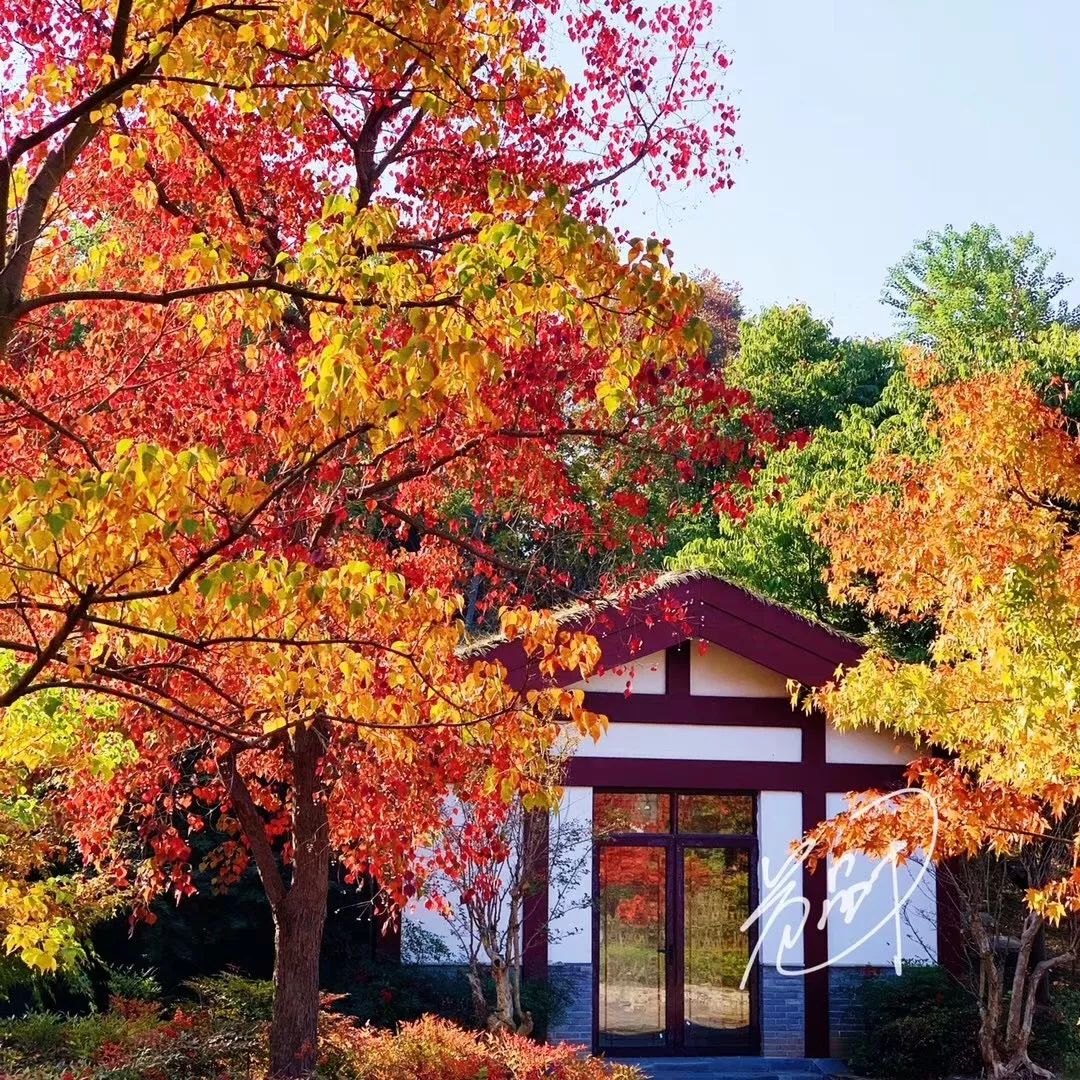 又被张家港圈粉了