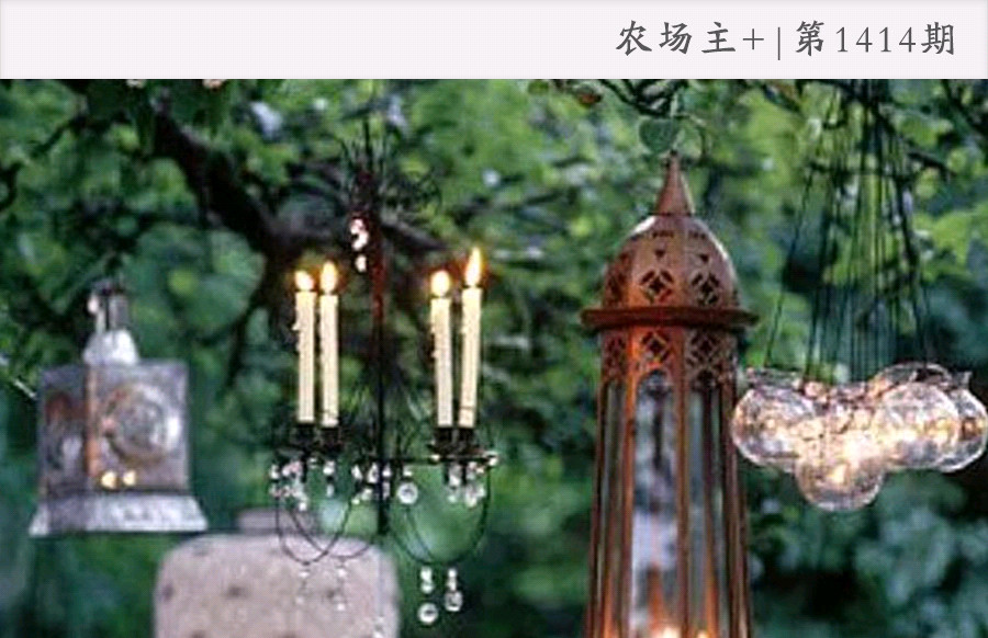 院子里种什么十多年后价值很高,院子里种什么最值钱