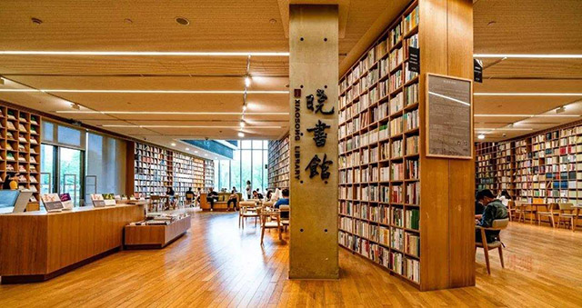 高晓松晓书馆现状,高晓松书法