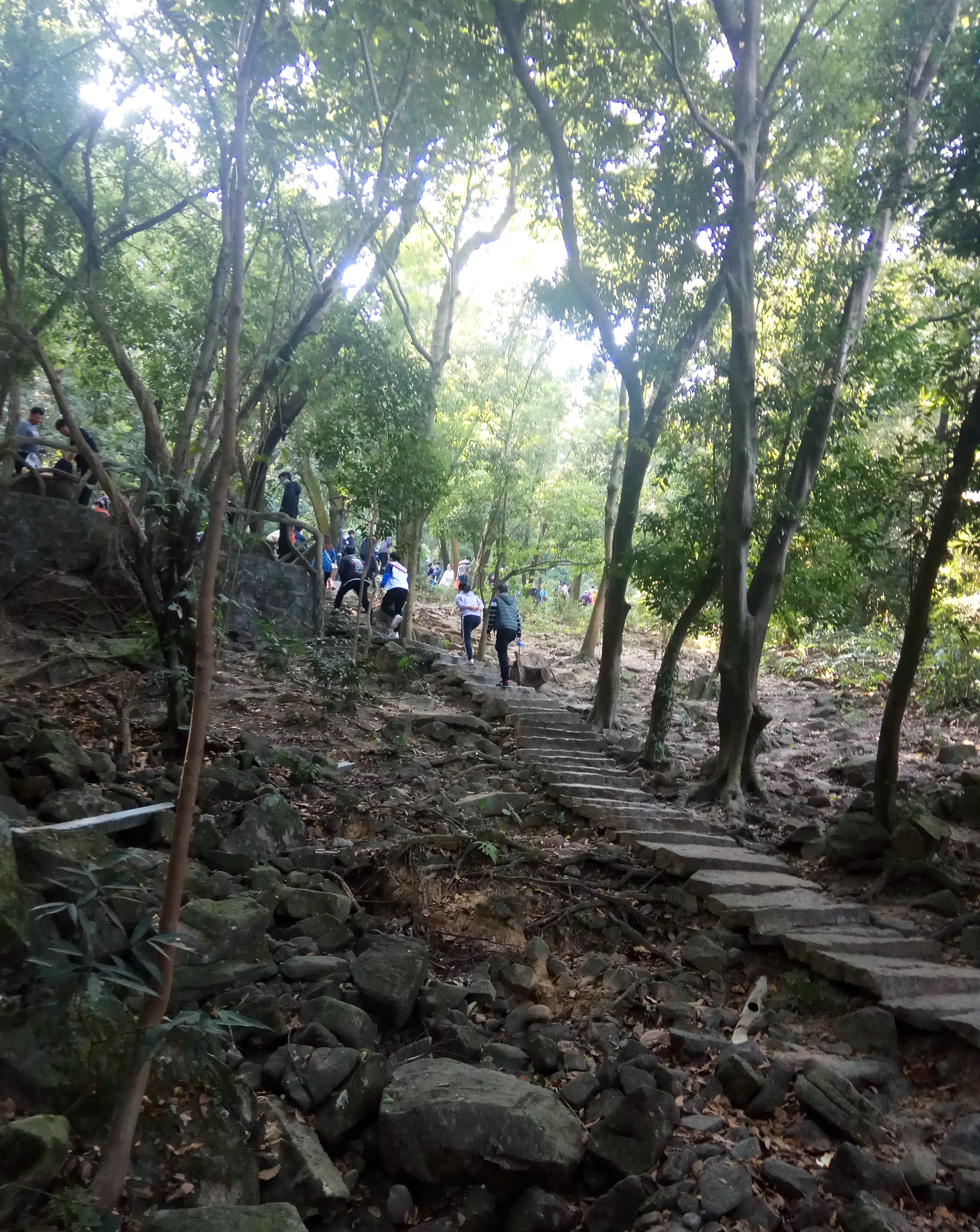 深圳半价保障房,深圳半价楼盘推荐