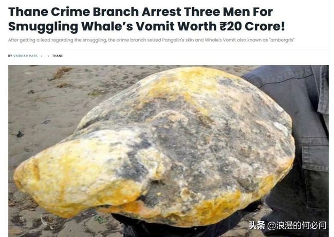 中国饮食的十大境界,饮食的最高境界是营养