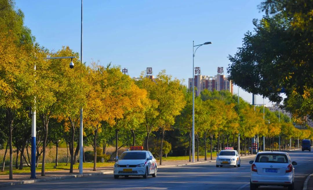 本溪新城攻略,本溪新城区最新消息