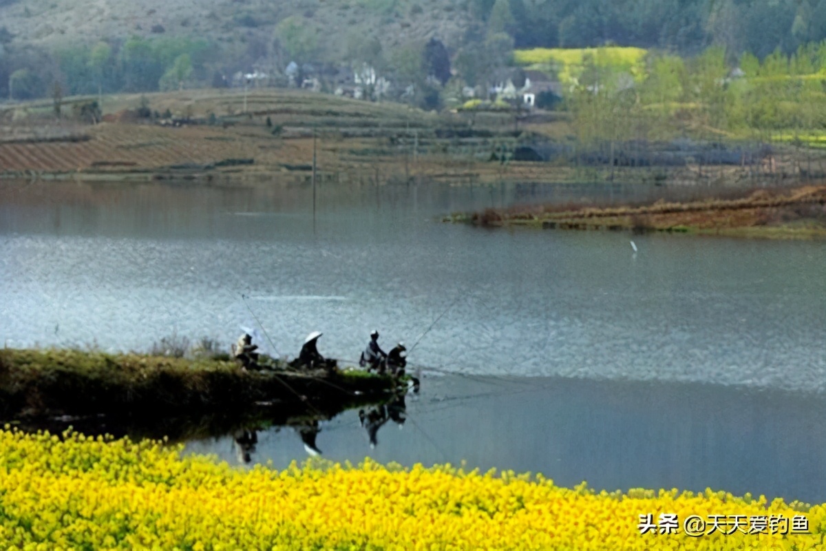 钓鱼技巧:钓鱼遇上刮风天,经验告诉你,这些风向鱼情更好
