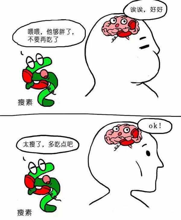 一个月瘦下去的食物清单,减肥靠饿还是合理饮食