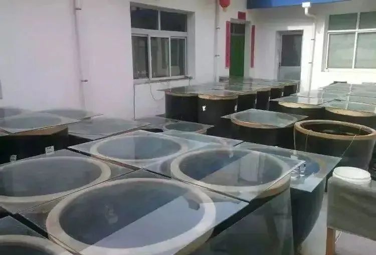 社旗县饶良镇名人,社旗饶良镇名人