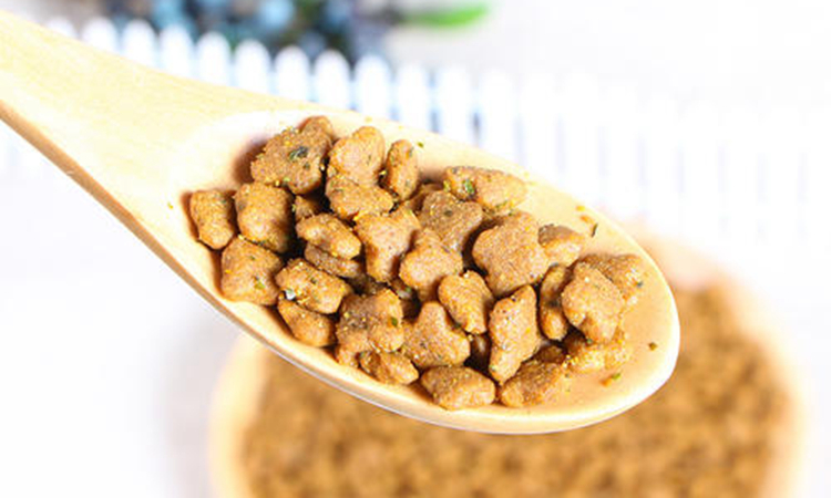 如何挑选猫粮需要注意哪些,新养猫必备猫粮推荐