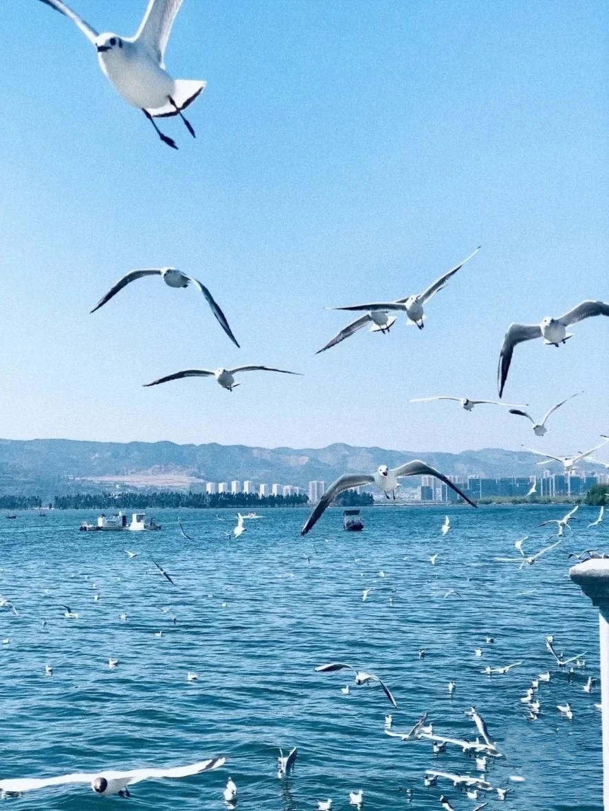 2月云南丽江大理自由行攻略,7月云南大理丽江旅游全攻略