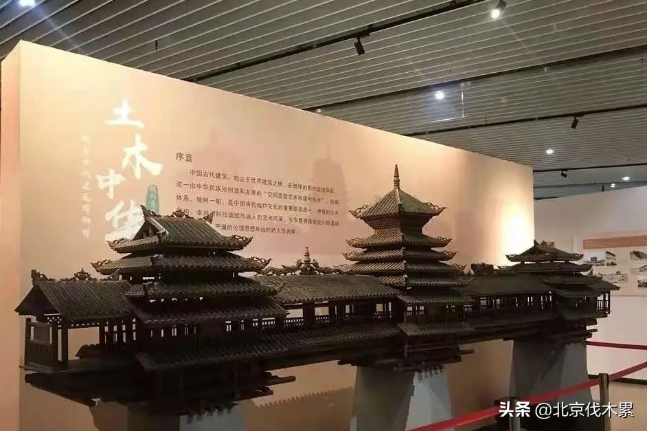 陕西历史博物馆挖到的宝贝,一定要带孩子去的十个全球博物馆