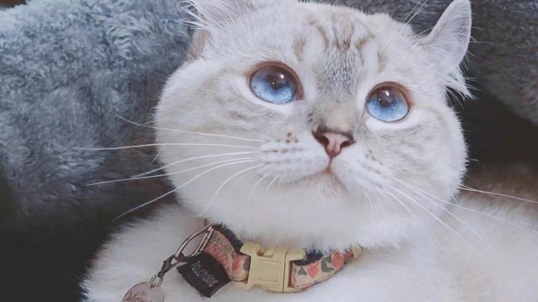 win7电脑玩游戏卡顿严重解决方法,4招解决电脑卡顿附详细教程