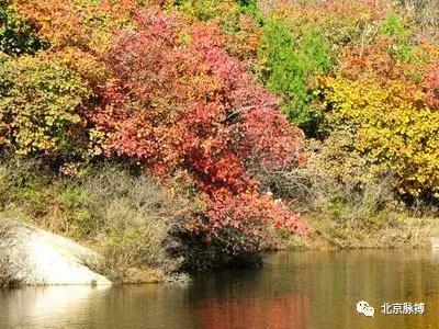 画说回龙观,北京最漂亮的森林公园