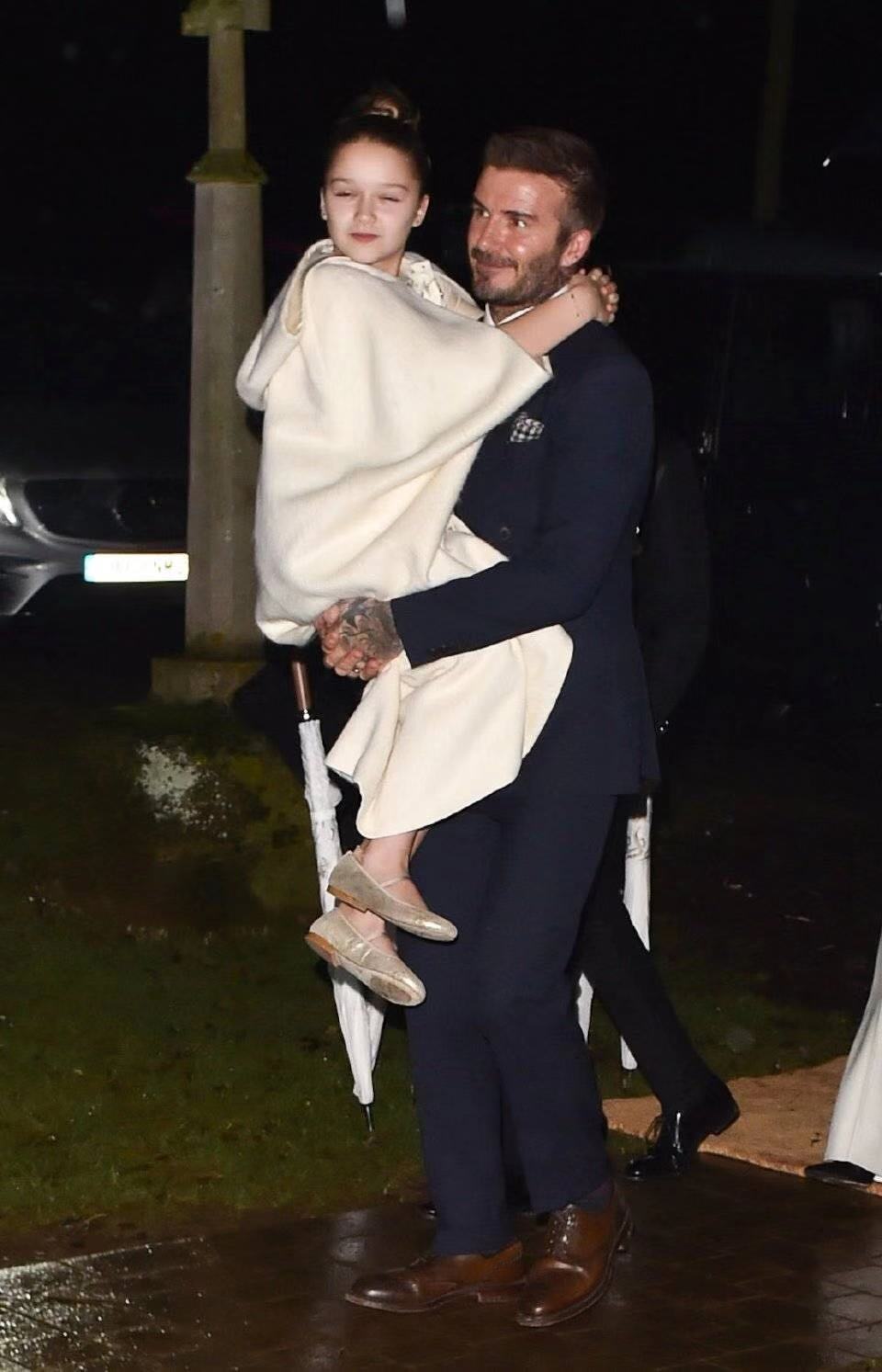 贝嫂单手抱小七,贝嫂庆生小七