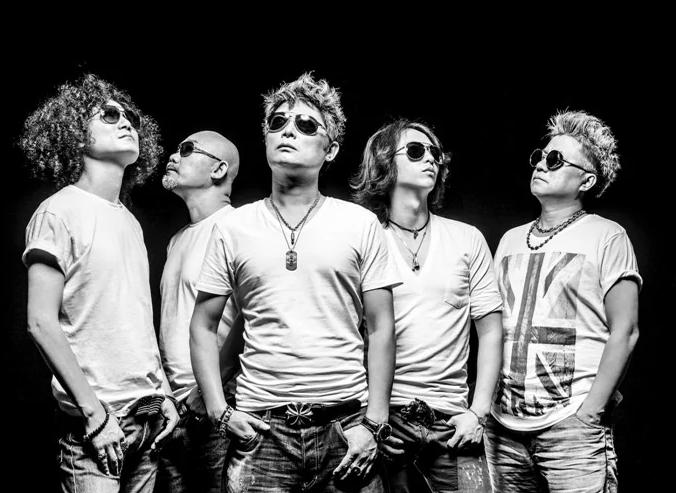 张淇年轻时照片窦唯,无地自容窦唯和张淇的区别