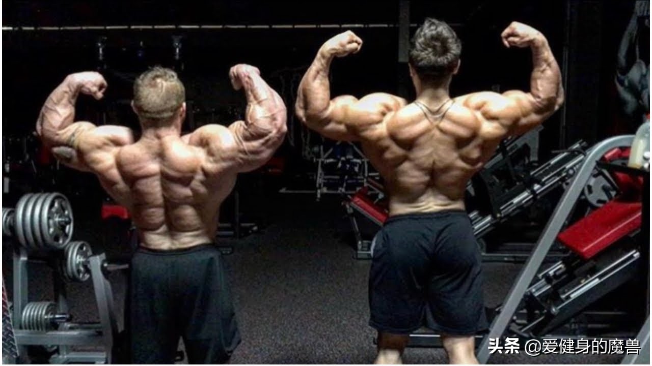 如何开背变宽,如何使背更薄